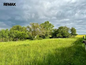 Prodej pozemku pro bydlení, Dolní Lažany, 1472 m2