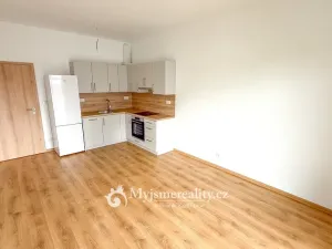 Pronájem bytu 2+kk, Znojmo, Vrbkova, 47 m2