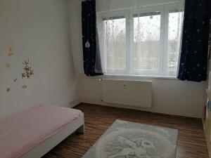 Pronájem bytu 3+1, České Budějovice - České Budějovice 2, Jizerská, 77 m2