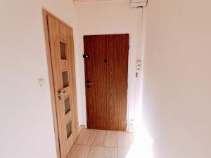Pronájem bytu 1+kk, Ústí nad Labem - Ústí nad Labem-centrum, Stará, 20 m2