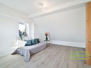 Pronájem bytu 1+kk, Liberec, Generála Svobody, 27 m2