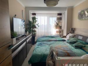 Pronájem bytu 3+kk, Ostrava - Mariánské Hory, Gen. Janka, 72 m2
