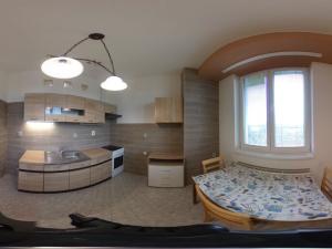 Pronájem bytu 1+kk, Třebíč, Družstevní, 40 m2