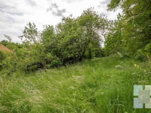 Prodej pozemku pro bydlení, Zdiby, 1714 m2