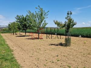 Prodej rodinného domu, Popovice, 83 m2