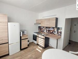 Pronájem bytu 1+1, Cheb, Šeříková, 40 m2