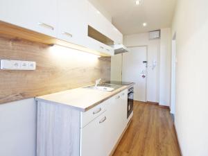 Pronájem bytu 1+1, Olomouc - Nová Ulice, Pionýrská, 47 m2