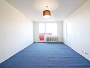 Pronájem bytu 1+1, Olomouc - Nová Ulice, Pionýrská, 47 m2