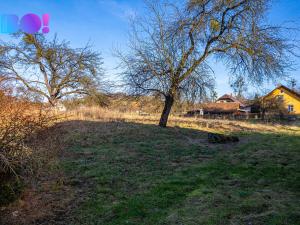 Prodej pozemku pro bydlení, Tichá, 5501 m2