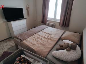 Pronájem bytu 3+1, Šumperk, Blanická, 65 m2