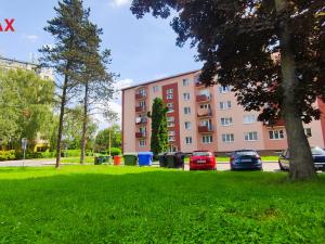 Pronájem bytu 3+1, Šumperk, Blanická, 65 m2