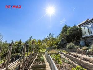 Prodej komerční nemovitosti, Obora, 900 m2