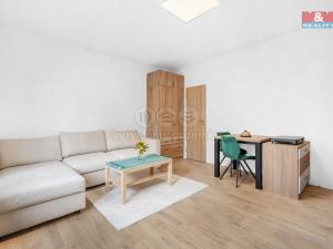 Pronájem bytu 1+kk, Plazy, 24 m2