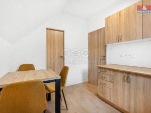 Pronájem bytu 1+kk, Plazy, 24 m2