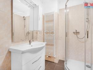 Pronájem bytu 1+kk, Plazy, 24 m2