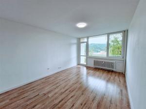 Pronájem bytu 2+1, Ústí nad Labem - Střekov, Tolstého, 65 m2
