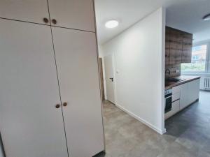 Pronájem bytu 2+1, Ústí nad Labem - Střekov, Tolstého, 65 m2