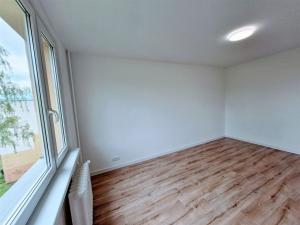 Pronájem bytu 2+1, Ústí nad Labem - Střekov, Tolstého, 65 m2