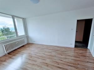 Pronájem bytu 2+1, Ústí nad Labem - Střekov, Tolstého, 65 m2