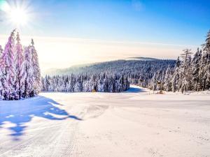 Prodej bytu 3+kk, Červená Voda - Mlýnický Dvůr, 312 m2