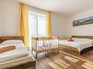 Prodej bytu 3+kk, Červená Voda - Mlýnický Dvůr, 312 m2