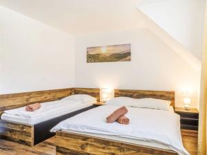 Prodej bytu 3+kk, Červená Voda - Mlýnický Dvůr, 312 m2