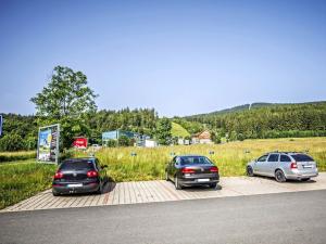 Prodej bytu 3+kk, Červená Voda - Mlýnický Dvůr, 312 m2