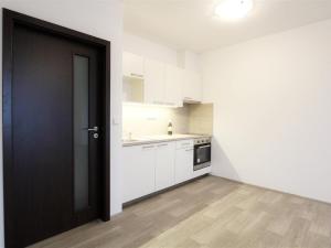 Pronájem bytu 1+kk, Brno, Adamcova, 34 m2