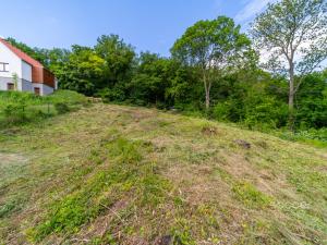Prodej pozemku pro bydlení, Velemín - Oparno, 800 m2