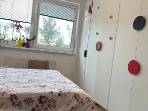 Pronájem bytu 1+kk, Pardubice, nábřeží Závodu míru, 38 m2