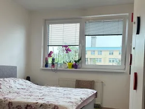 Pronájem bytu 1+kk, Pardubice, nábřeží Závodu míru, 38 m2