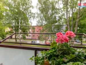 Prodej bytu 2+1, Ostrava - Hrabůvka, Edisonova, 52 m2