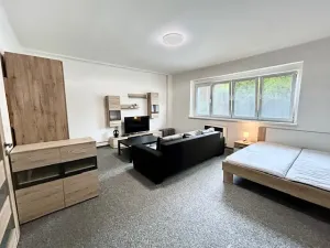 Pronájem bytu 1+1, Praha - Holešovice, Osadní, 44 m2