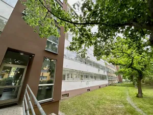 Pronájem bytu 1+1, Praha - Holešovice, Osadní, 44 m2