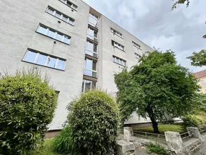 Pronájem bytu 1+1, Praha - Holešovice, Osadní, 44 m2