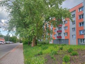 Prodej bytu 1+1, Tábor, Náchodská, 35 m2