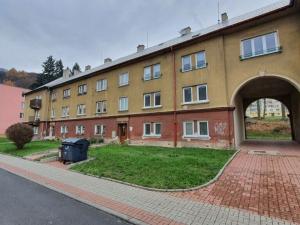 Prodej bytu 2+1, Litvínov - Horní Litvínov, Alešova, 57 m2