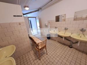 Prodej vícegeneračního domu, Zbytiny - Blažejovice, 453 m2