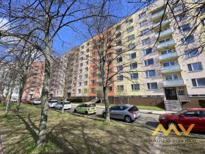 Pronájem bytu 1+1, Hradec Králové - Moravské Předměstí, Štefánikova, 38 m2