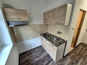 Pronájem bytu 1+kk, Liberec - Liberec XV-Starý Harcov, Svobody, 25 m2