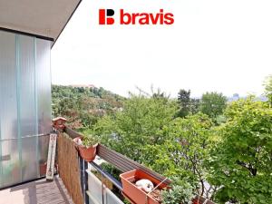 Pronájem bytu 3+kk, Brno, Tomešova, 96 m2