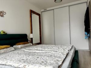 Pronájem bytu 2+kk, Praha - Kamýk, Freiwaldova, 55 m2