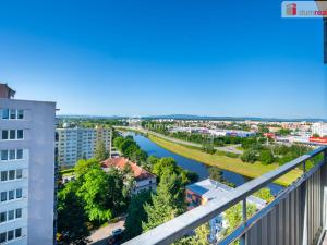 Pronájem bytu 1+1, České Budějovice - České Budějovice 3, Čéčova, 52 m2
