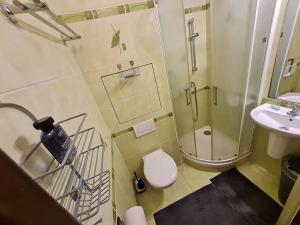 Pronájem bytu 1+kk, Brno, 27 m2