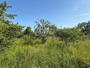 Prodej rodinného domu, Podmoky, 361 m2