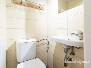 Pronájem bytu 1+kk, Praha - Vršovice, Na spojce, 18 m2