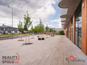 Pronájem bytu 5+kk, Plzeň, U Borského parku, 118 m2