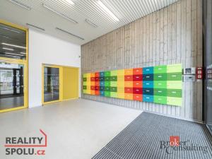 Pronájem bytu 5+kk, Plzeň, U Borského parku, 118 m2