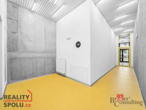 Pronájem bytu 5+kk, Plzeň, U Borského parku, 118 m2