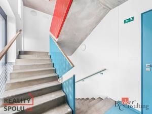 Pronájem bytu 5+kk, Plzeň, U Borského parku, 118 m2